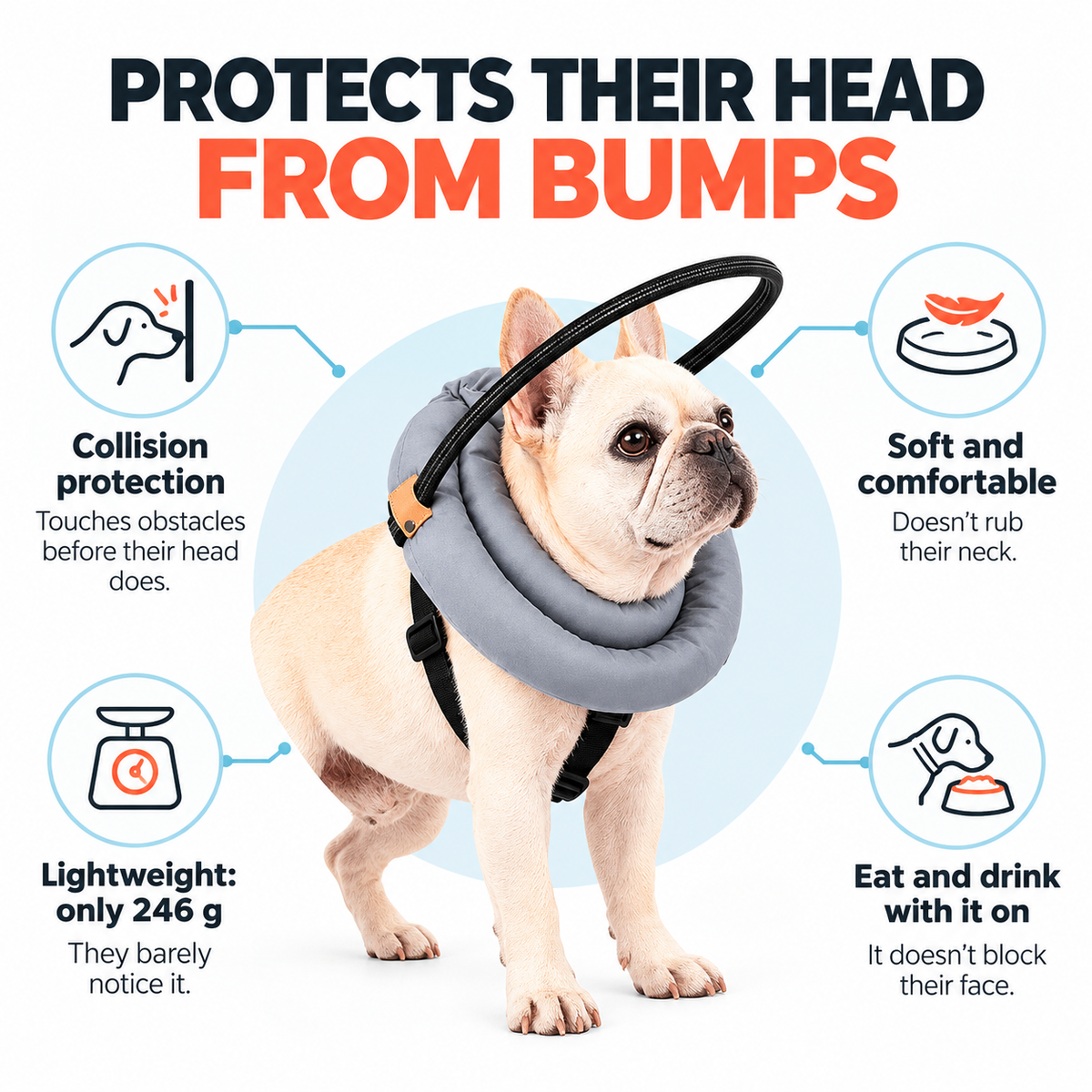 NaviPaw™ – Protective Halo Harness for Blind Dogs