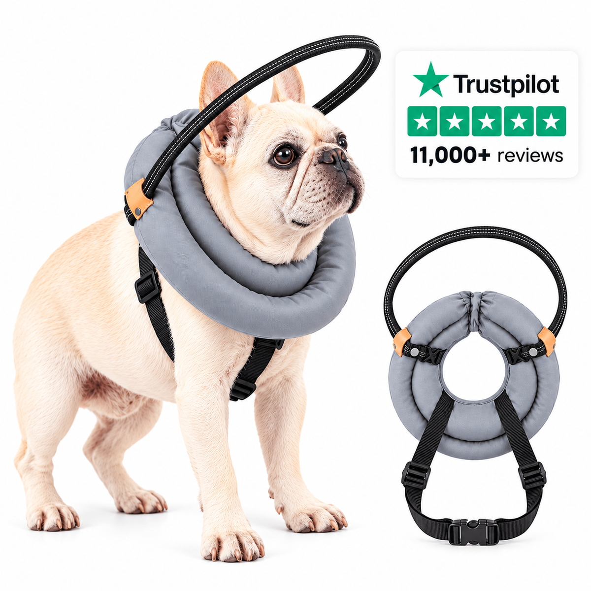 NaviPaw™ – Protective Halo Harness for Blind Dogs