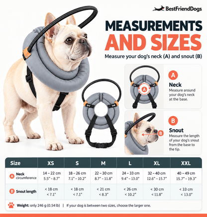 NaviPaw™ – Protective Halo Harness for Blind Dogs