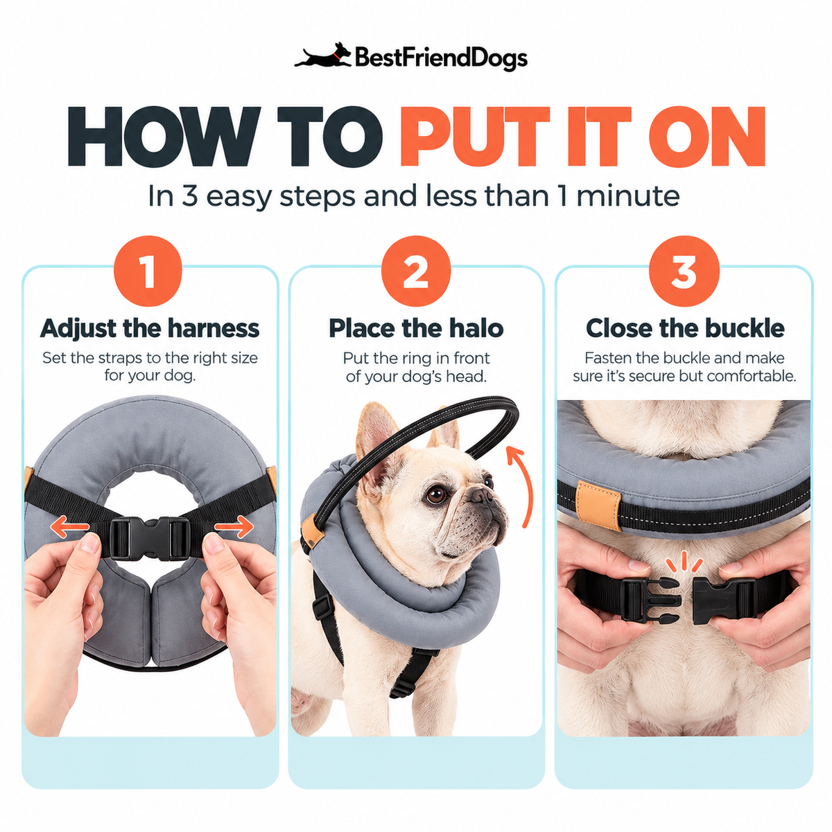 NaviPaw™ – Protective Halo Harness for Blind Dogs